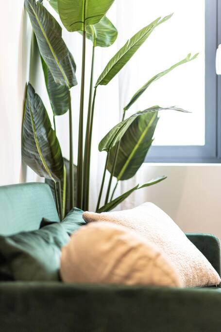 Le Refuge - Residence Hestia Saint-Etienne  Ngoại thất bức ảnh