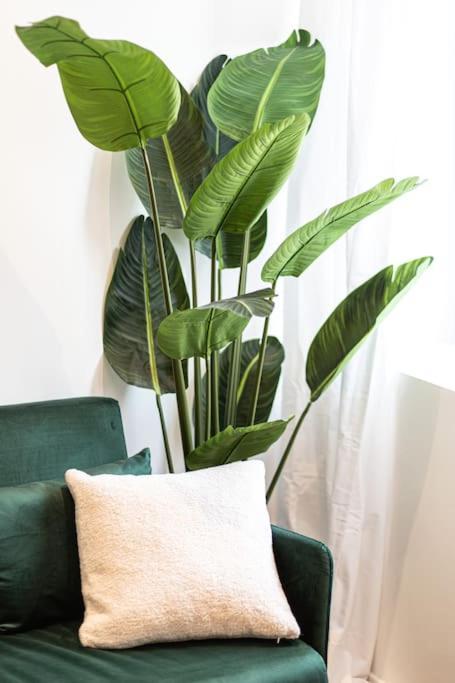 Le Refuge - Residence Hestia Saint-Etienne  Ngoại thất bức ảnh